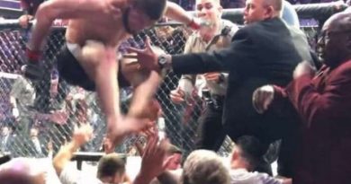Vídeo: Khabib nocauteia McGregor e luta termina em pancadaria generalizada Vídeo: Khabib nocauteia McGregor e luta termina em pancadaria generalizada