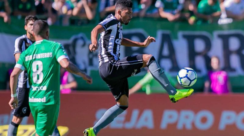 15 11 2018 chapecoense botafogo 15112018 liamara polli photo premium 31287 8672905