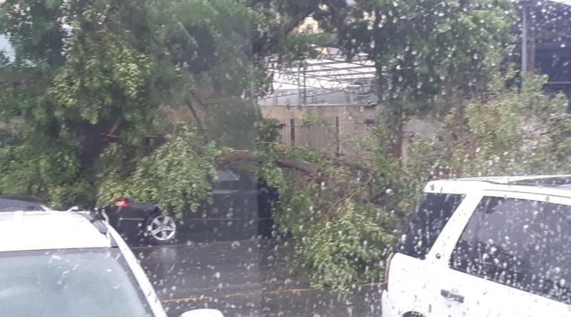 53084558 2030733420557554 598645422323400704 n