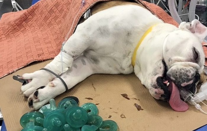 1 15053504 7164505 image a 1 1561070339156 11699107