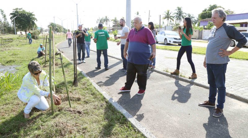 Prefeita Francimara planta muda na Semana do Meio Ambiente Ascom SFI Arquivo