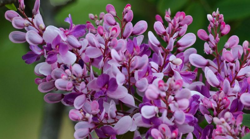 976916 22092015 dsc 3421