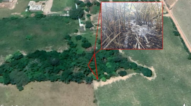 georreferenciamento 1024x695