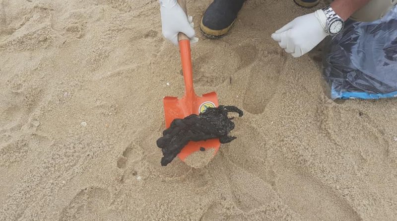 74377154 272893973670105 7004686098899140608 n