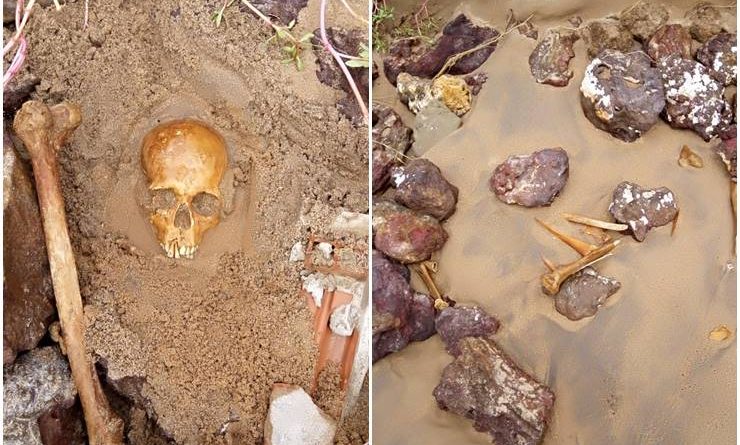 c9a86bb0dd00b7fe5a2fa1bbee568c93