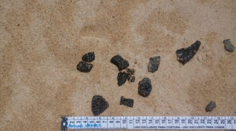 whatsapp image 2019 11 08 at 19.43.37