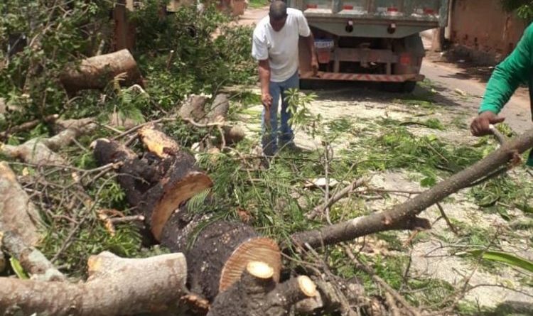 Sema trabalhos continuam Sema SFI 3 e1582828553518 750x760 1