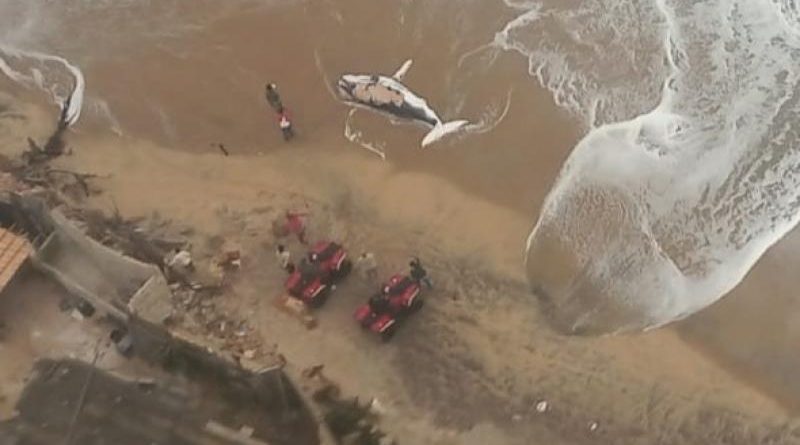 9346 150720155509 20200715 153550