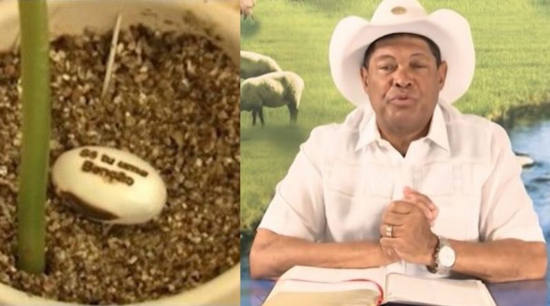 cura coronavirus valdomiro widexl