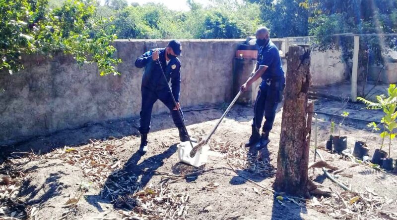 df816e05 6fec 4b0f bb20 953081ceda84