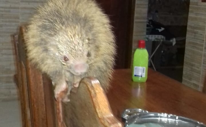 23ea8e84 5ef7 4345 9e97 3d0ff68d68f9