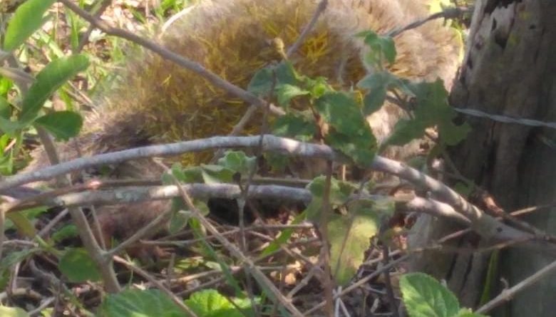 403b5c45 1c9a 4968 b525 62de9868693a