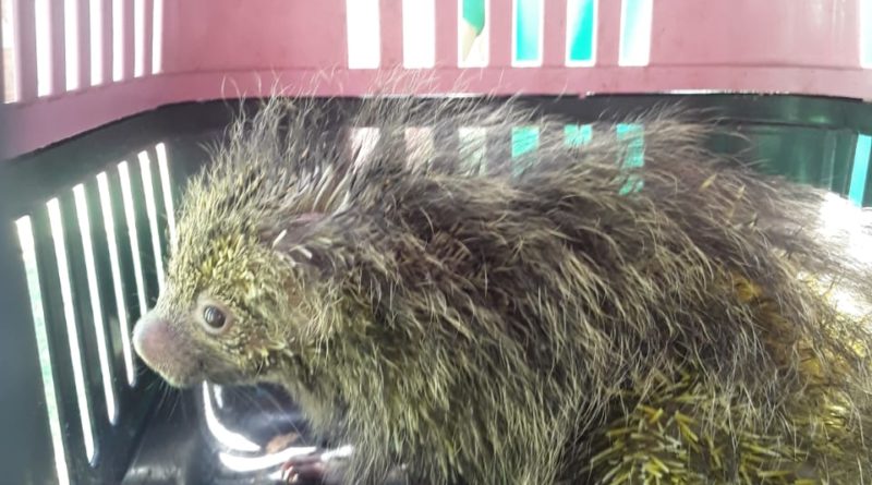 67a6f22b 0ed7 49f1 8028 01ebf5a5801d