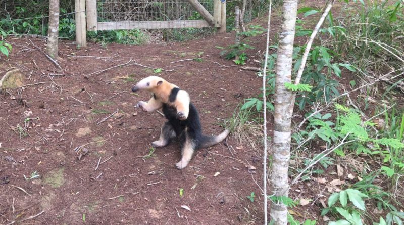 dbf0acd8 4975 46a7 bd76 c2a5871c1c51