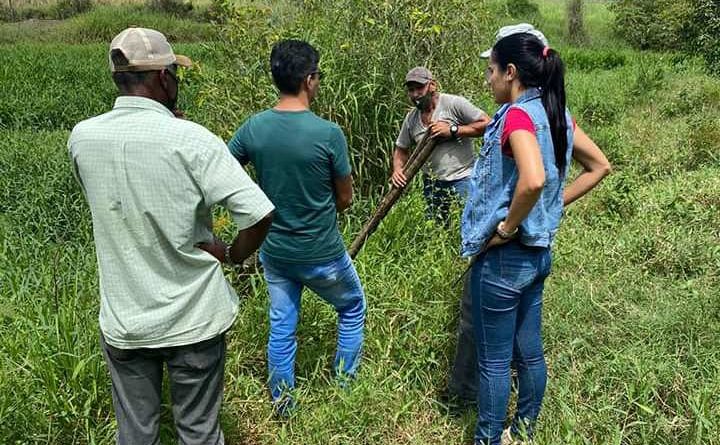 131997291 242901400774492 3442031137266841665 n