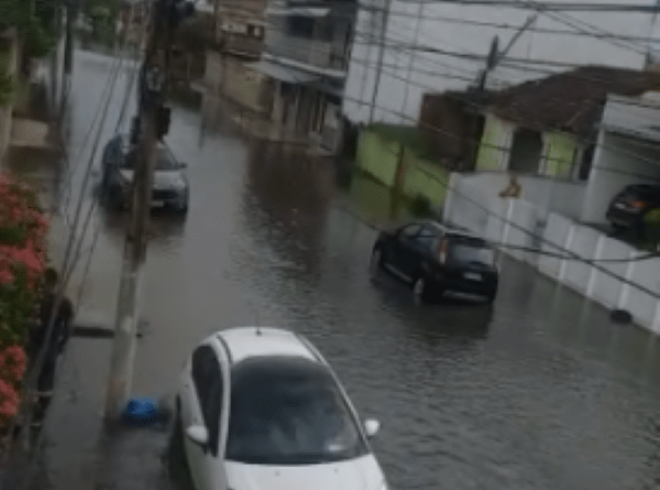 Sem titulo 2 274x360 min