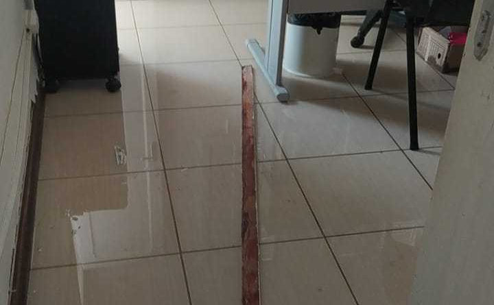 photos 1 1