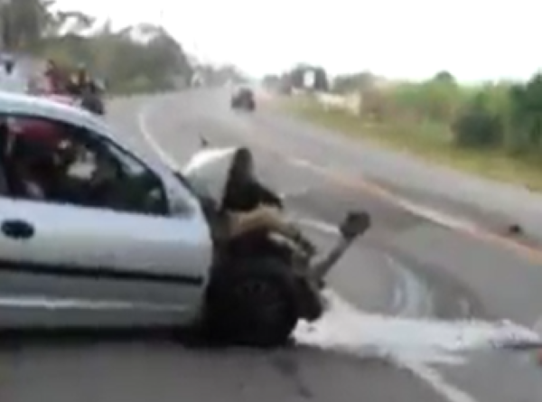 Sem titulo 1