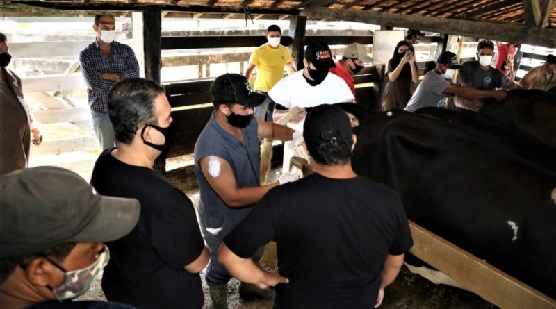 WhatsApp Image 2021 05 22 at 09.57.04 1024x590 1