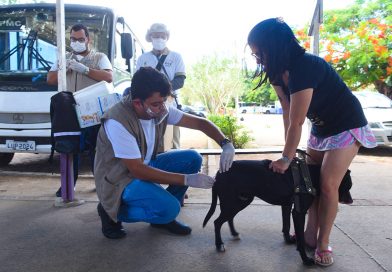 Vacinação antirrábica para cães e gatos neste domingo em Farol