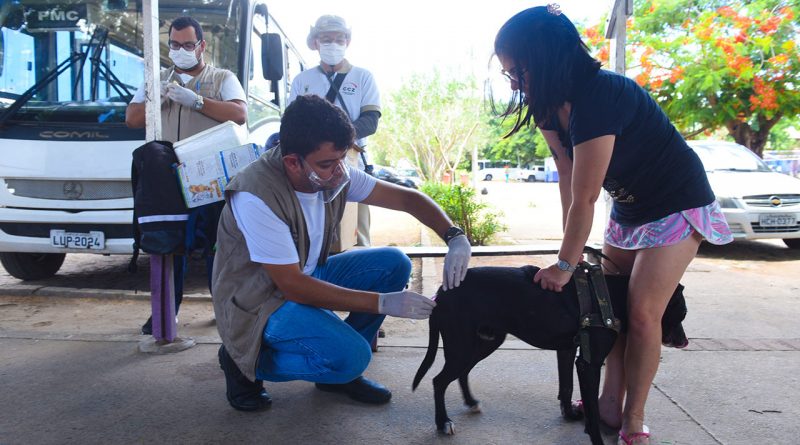 photos 2 Easy Resize.com 8