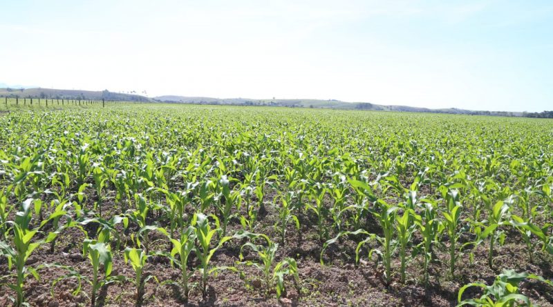 WhatsApp Image 2021 06 25 at 14.41.53