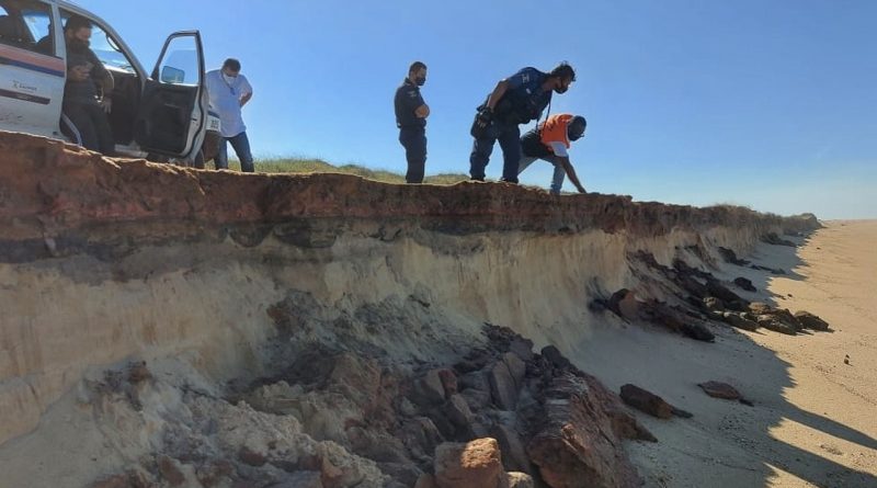 photos Easy Resize.com 32