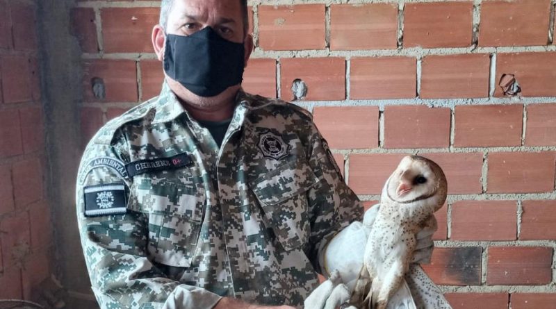 photos Easy Resize.com 46