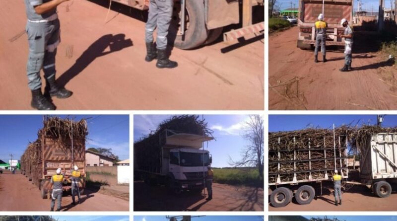 215870500 938722073636223 6200115231741283460 n