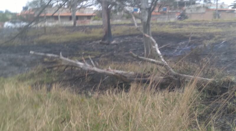 WhatsApp Image 2021 07 20 at 14.22.24