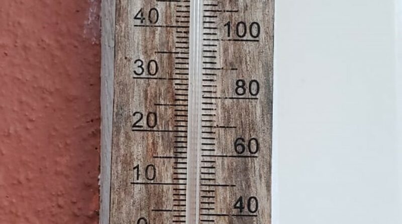 whatsapp image 2021 08 02 at 10.05.54