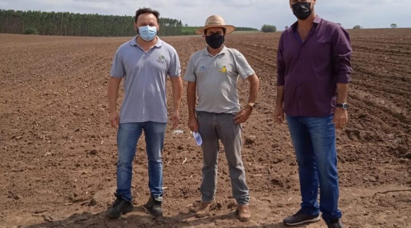 0bfc0ce99892772fc285e10ee3943d9a XL