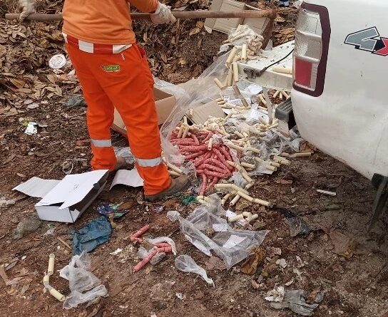 242105692 924099964853666 4767305033111352206 n