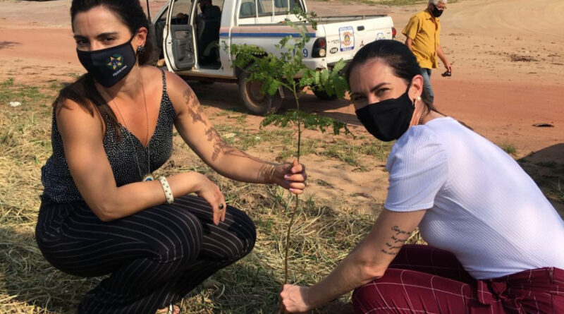 7539a1b30386b8951ffea14c91e802dc XL