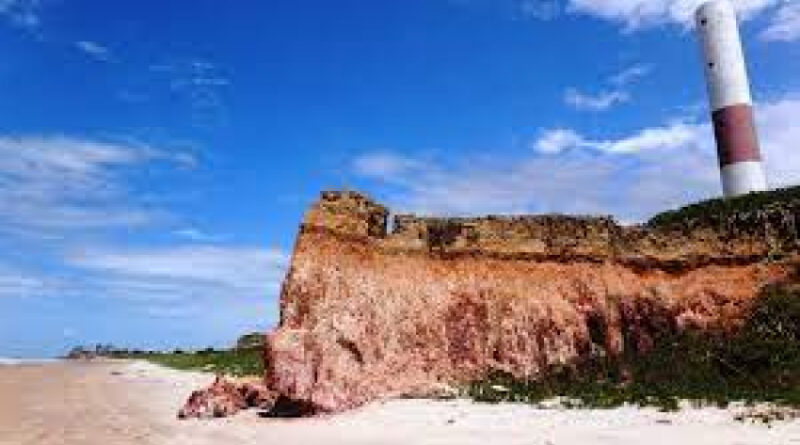 9f6d22dec5a20bcdd01cd84e98637764 XL