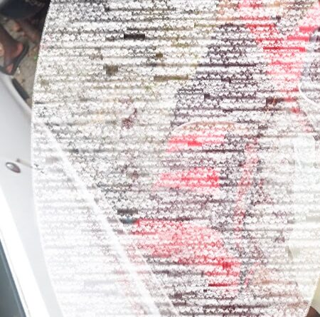 829b2f73 03c3 4326 ae61 6e5611b720d4