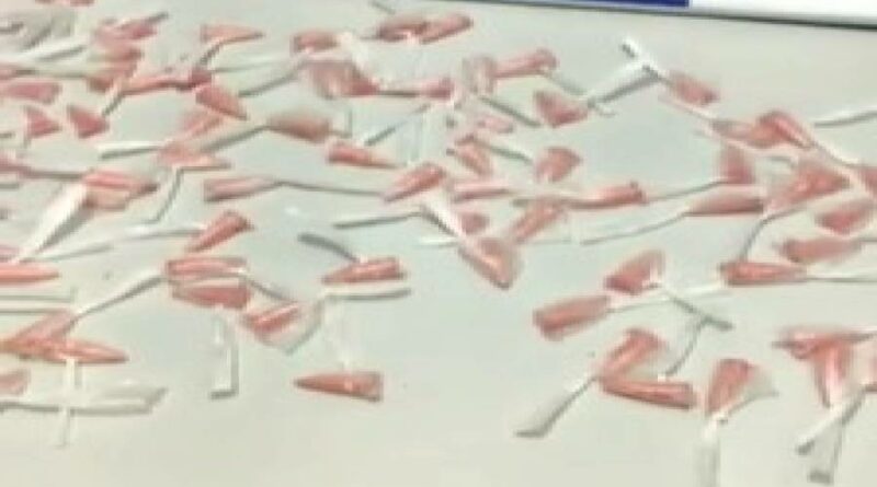 9555c8cf6e8c9face7243f02f562a22829102021091216617be520a10e5