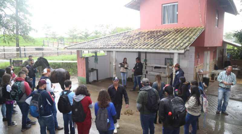 d383d2a7f18b38f50f531c6f6759cc5a XL