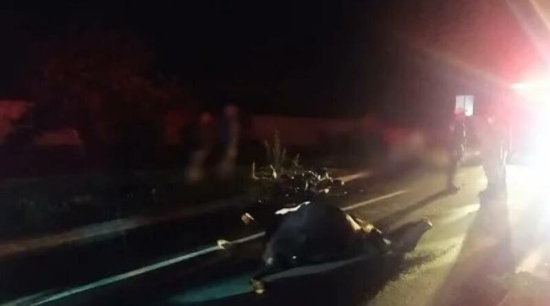 d8ec20d4c2e4684976bef2b387e65c7d30102021092341617d394d8e4f2