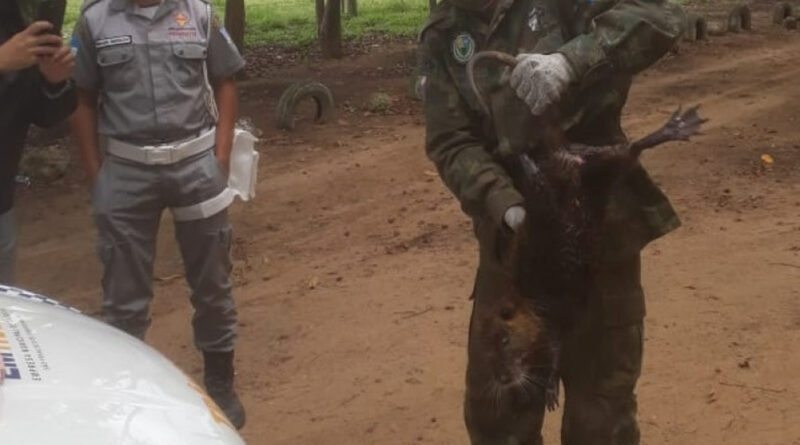 0692a4e584defe6544ca2abbf7dd2502 XL Easy Resize.com