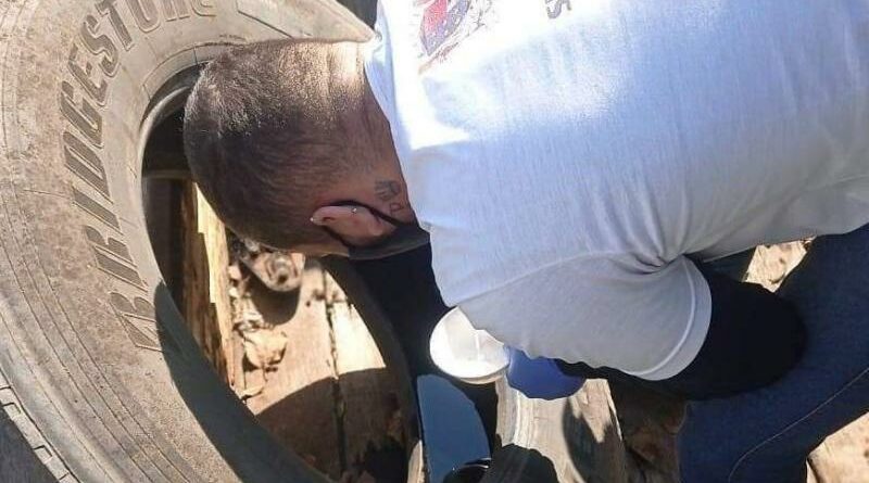 10548 041121124730 WhatsApp Image 2021 11 04 at 13.30.13