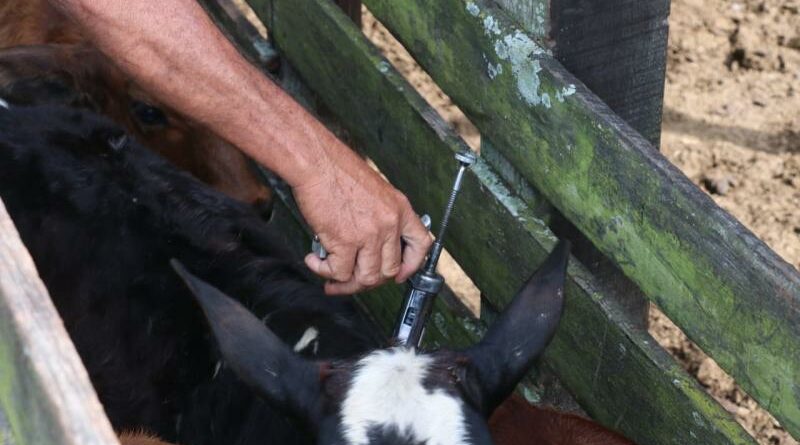 10559 091121102015 10073 020621123109 IMG 20210602 WA0139