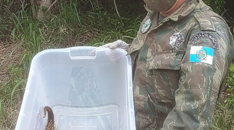 d6e0c71ca3722c71ddd73a242718257f XL Easy Resize.com