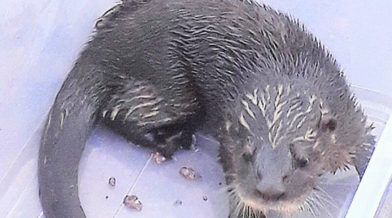 ea91bb19891b6c623322a2cb25533741 XL Easy Resize.com