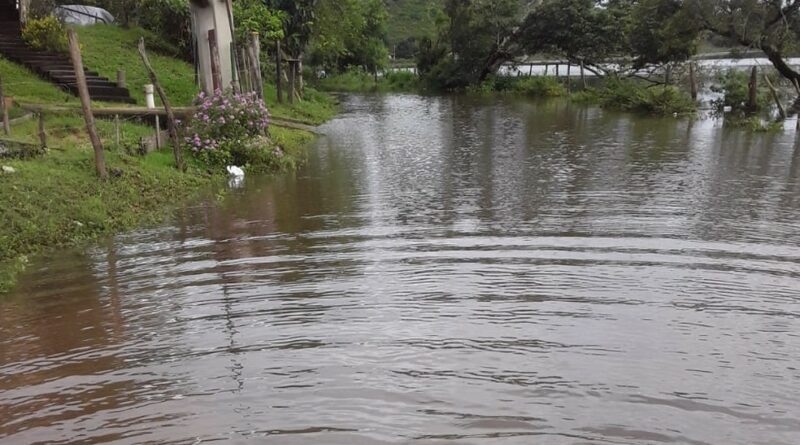 whatsapp image 2021 11 03 at 13.58.47