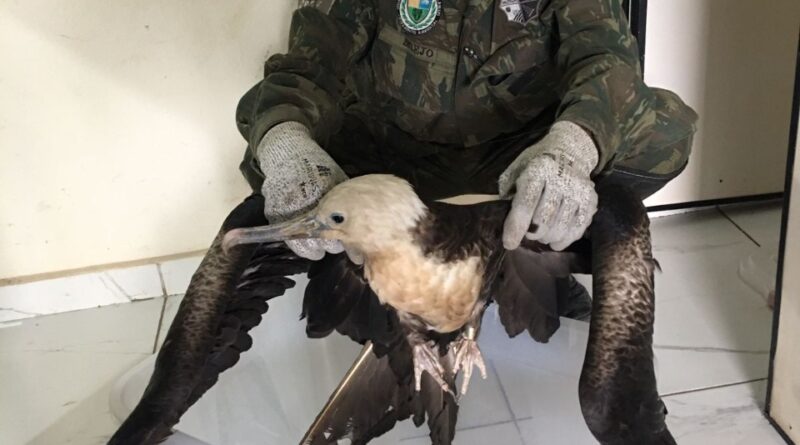 WhatsApp Image 2021 12 03 at 14.26.01