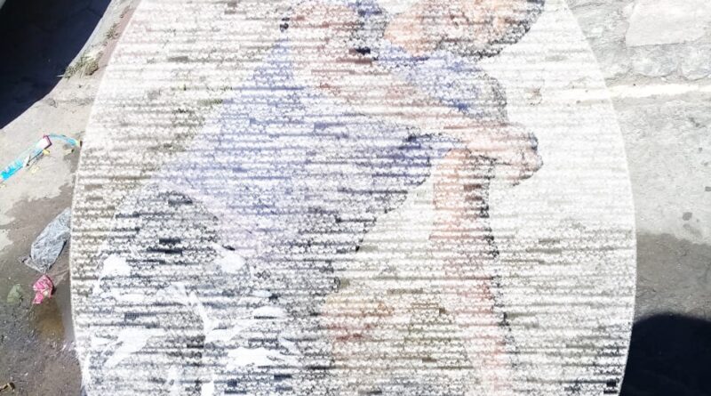 WhatsApp Image 2021 12 11 at 10.55.11