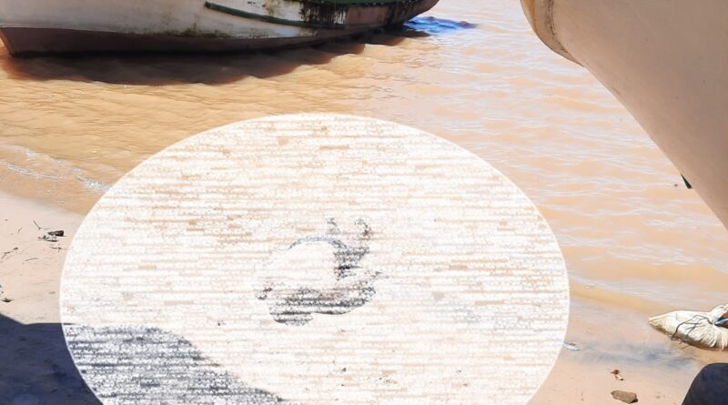 WhatsApp Image 2021 12 28 at 15.21.03