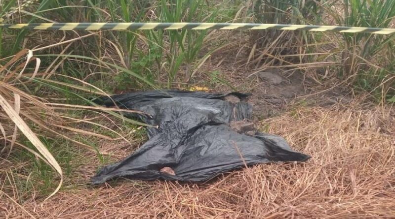 4af86373e22237746011d6ab56c3f8dd0401202209363561d43f53293a0