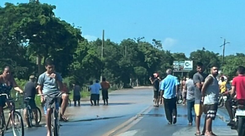 WhatsApp Image 2022 01 12 at 14.49.56